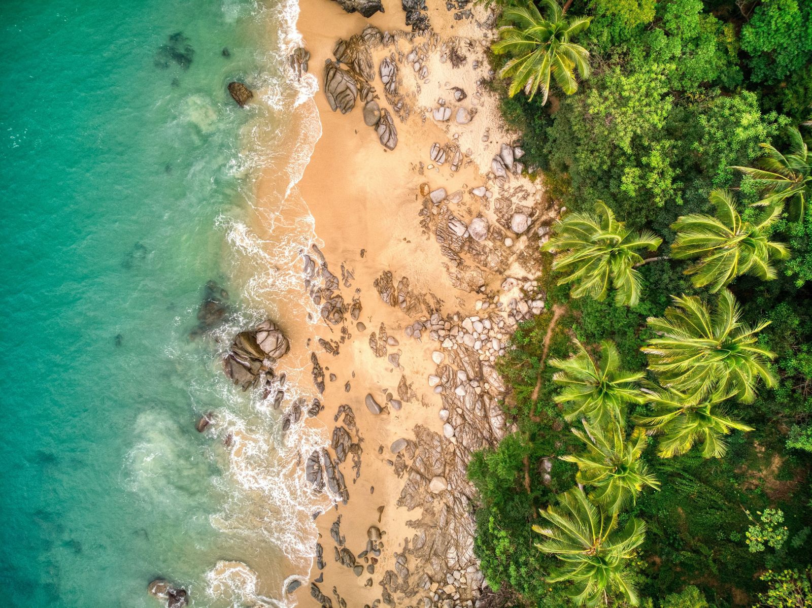 Rocky coastline with palm trees and turquoise sea in Banderas Bay