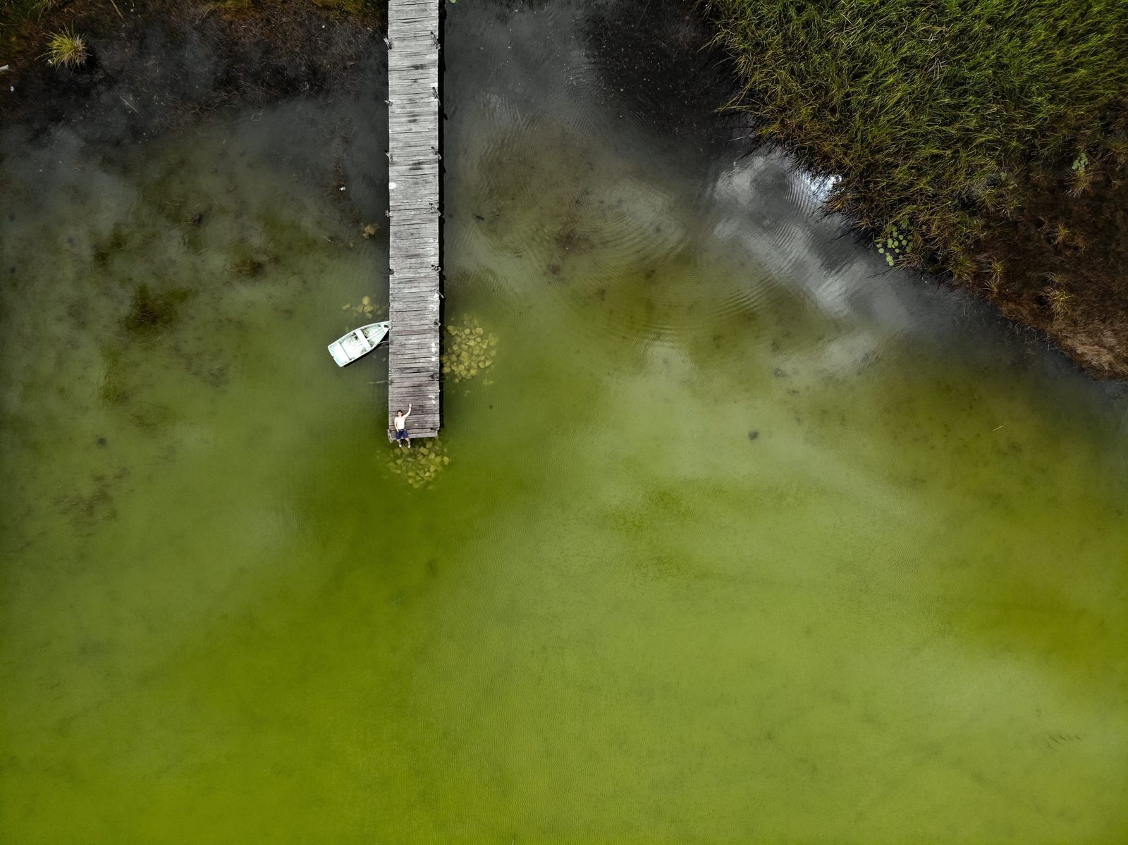 Wooden pier over turquoise-green water in Tulum, top-down view